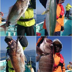 シードリーム 釣果