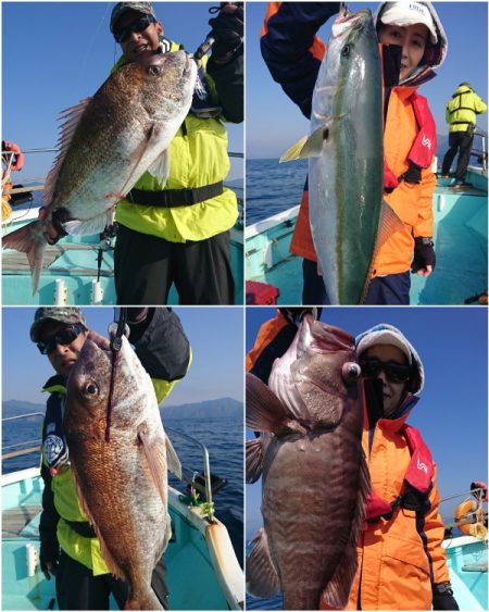 シードリーム 釣果