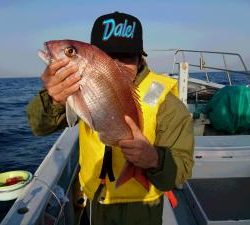 かねい丸 釣果