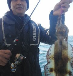 シースナイパー海龍 釣果