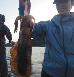 シースナイパー海龍 釣果