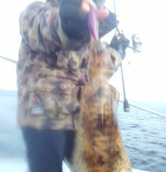 シースナイパー海龍 釣果
