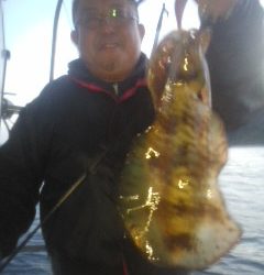 シースナイパー海龍 釣果