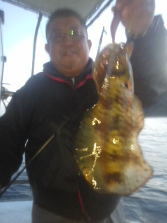 シースナイパー海龍 釣果