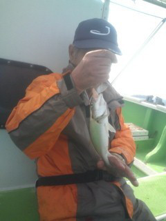 金沢八景鴨下丸 釣果