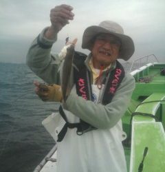 金沢八景鴨下丸 釣果