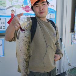 としまえんフィッシングエリア 釣果