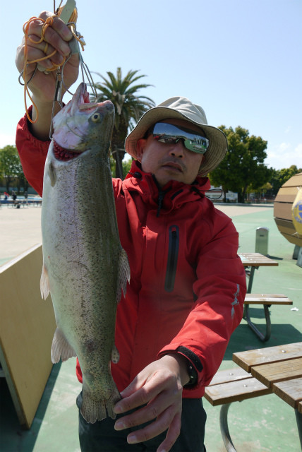 としまえんフィッシングエリア 釣果
