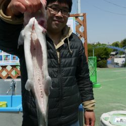 としまえんフィッシングエリア 釣果