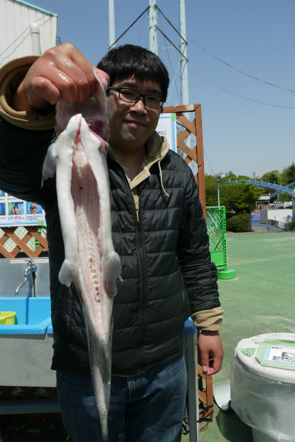 としまえんフィッシングエリア 釣果