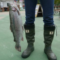 としまえんフィッシングエリア 釣果