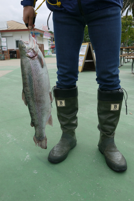 としまえんフィッシングエリア 釣果