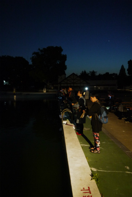 としまえんフィッシングエリア 釣果