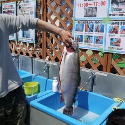 としまえんフィッシングエリア 釣果