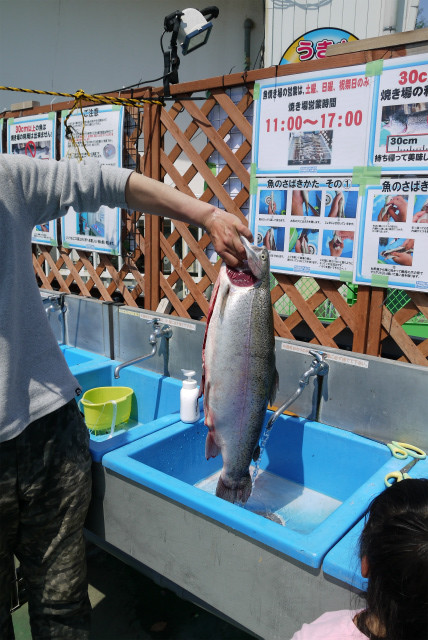 としまえんフィッシングエリア 釣果