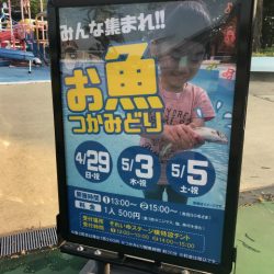 としまえんフィッシングエリア 釣果