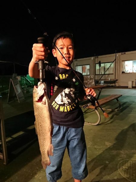 としまえんフィッシングエリア 釣果