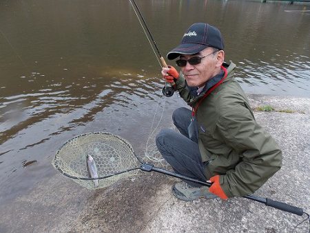 平谷湖フィッシングスポット 釣果