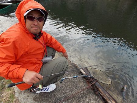 平谷湖フィッシングスポット 釣果