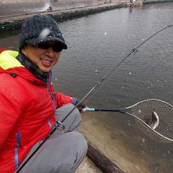 平谷湖フィッシングスポット 釣果