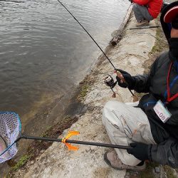 平谷湖フィッシングスポット 釣果
