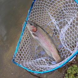 平谷湖フィッシングスポット 釣果