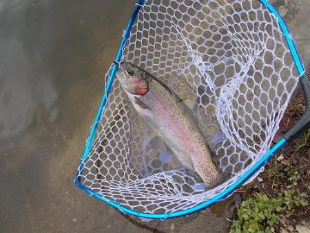 平谷湖フィッシングスポット 釣果