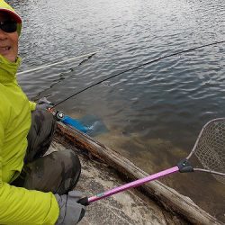 平谷湖フィッシングスポット 釣果