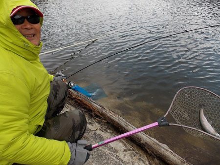 平谷湖フィッシングスポット 釣果