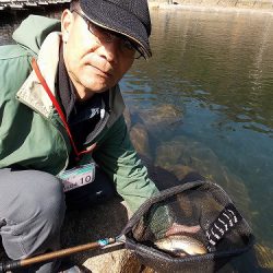 平谷湖フィッシングスポット 釣果