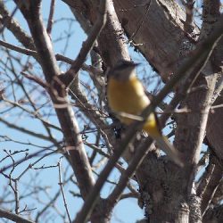 平谷湖フィッシングスポット 釣果