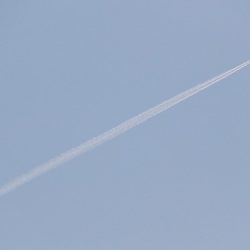 平谷湖フィッシングスポット 釣果