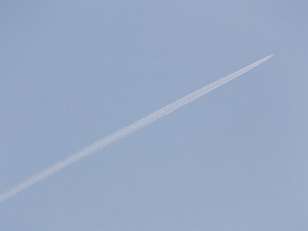 平谷湖フィッシングスポット 釣果