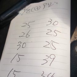 金沢八景鴨下丸 釣果