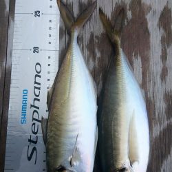 金沢八景鴨下丸 釣果