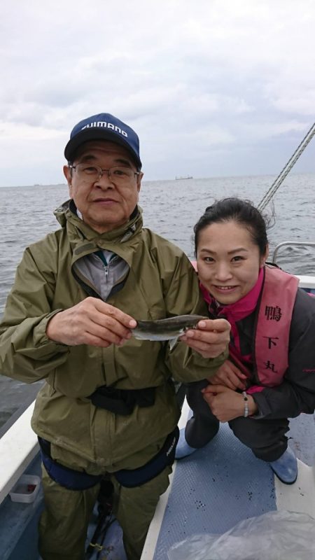 金沢八景鴨下丸 釣果