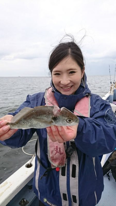 金沢八景鴨下丸 釣果