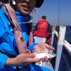 金沢八景鴨下丸 釣果