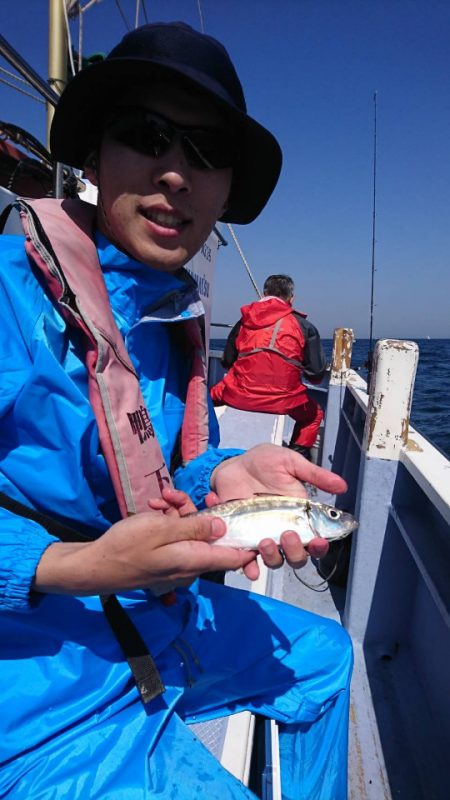 金沢八景鴨下丸 釣果