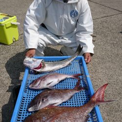 第三共栄丸 釣果