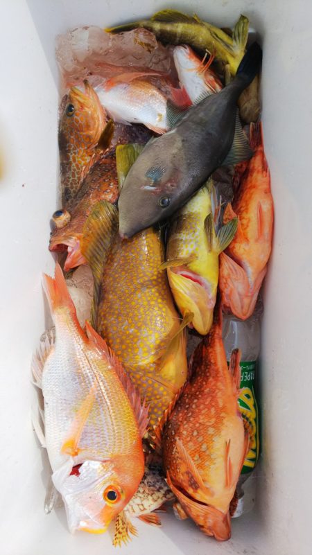 第二龍勢丸 釣果