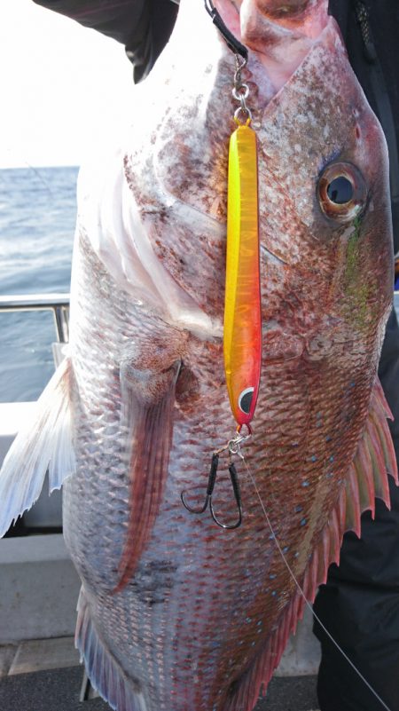 ARCADIAⅡ (アルカディアⅡ) 釣果