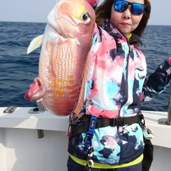 ARCADIAⅡ (アルカディアⅡ) 釣果