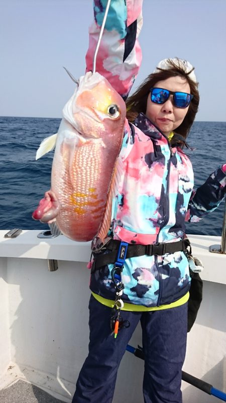 ARCADIAⅡ (アルカディアⅡ) 釣果