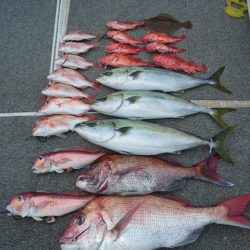 ARCADIAⅡ (アルカディアⅡ) 釣果