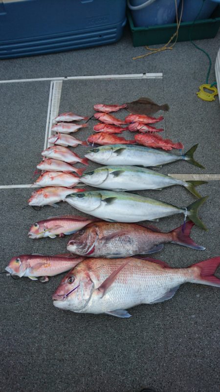 ARCADIAⅡ (アルカディアⅡ) 釣果