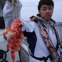 ARCADIAⅡ (アルカディアⅡ) 釣果