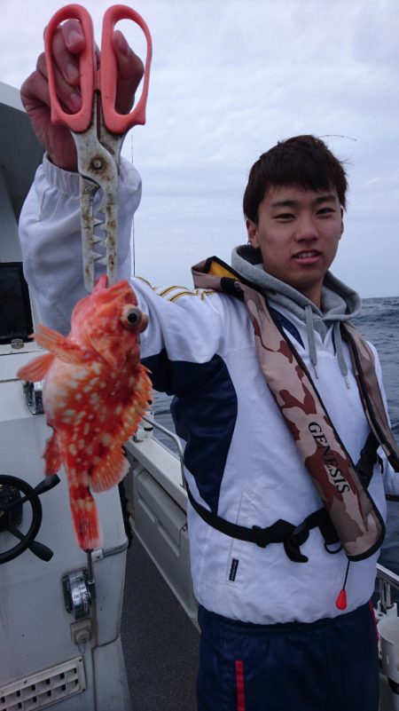 ARCADIAⅡ (アルカディアⅡ) 釣果