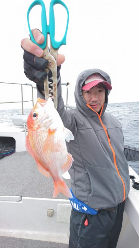 ARCADIAⅡ (アルカディアⅡ) 釣果