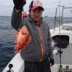 ARCADIAⅡ (アルカディアⅡ) 釣果